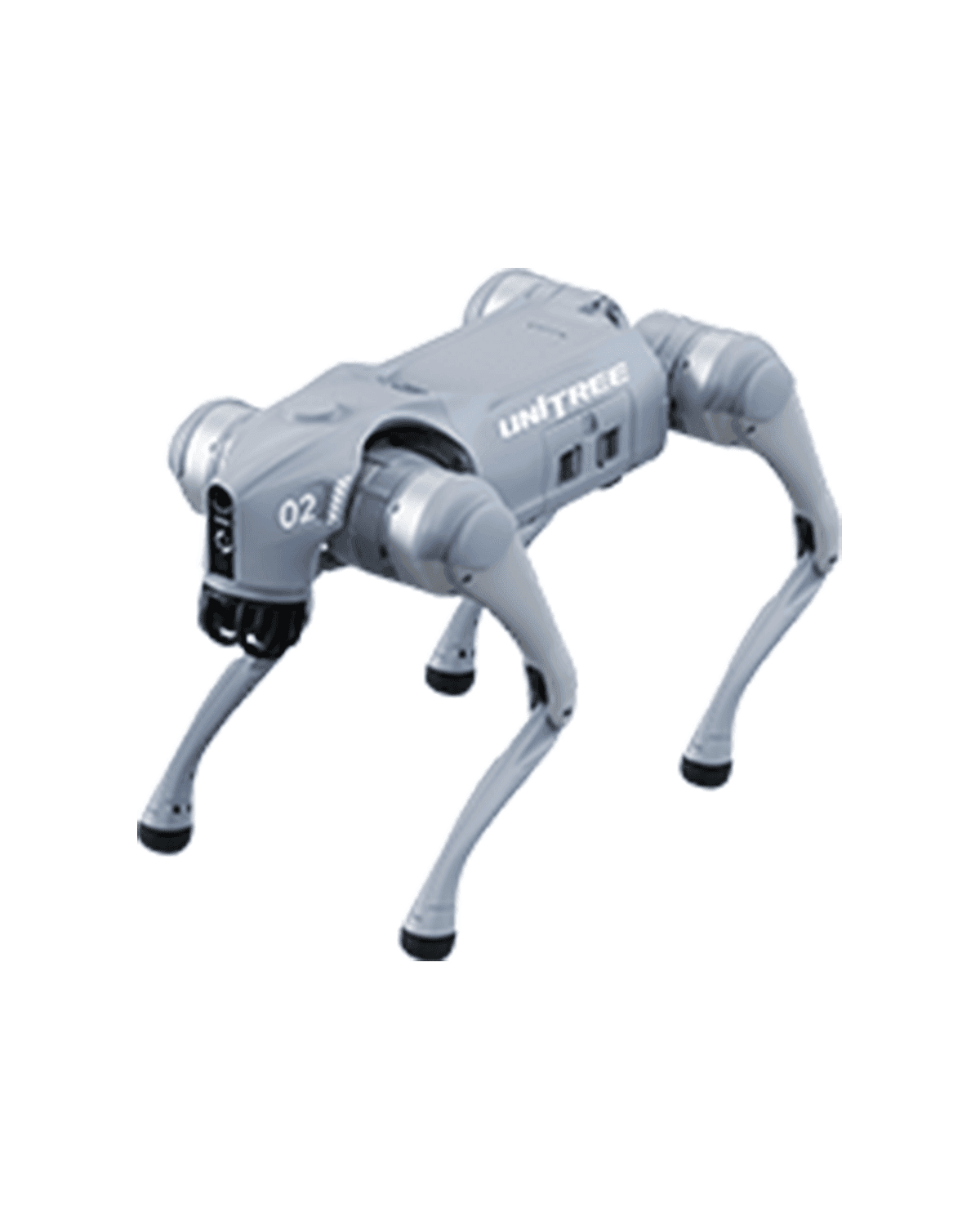 Four-legged RoboDog robot